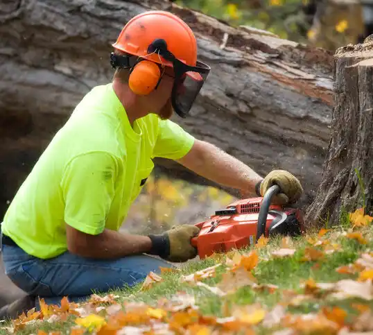 tree services Crestwood